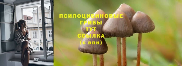метадон Алзамай