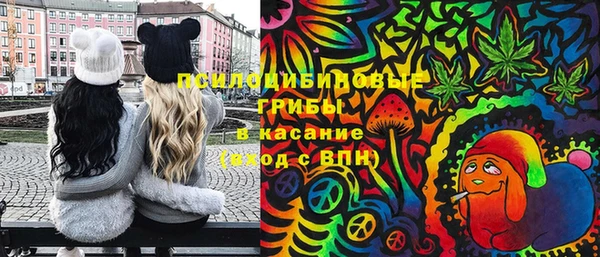 мяу мяу кристалл Алексин