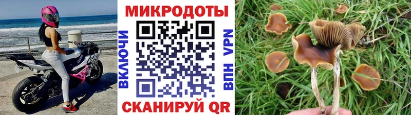 Псилоцибиновые грибы ЛСД  Бахчисарай 