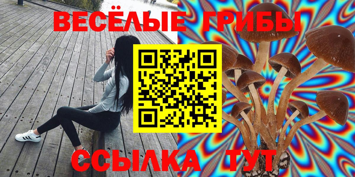 Псилоцибиновые грибы Magic Shrooms  Вход с VPN  Бахчисарай  Галлюциногенные грибы мухоморы 